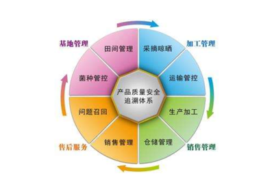 產品追溯系統有哪些公司,是怎樣開發系統的?
