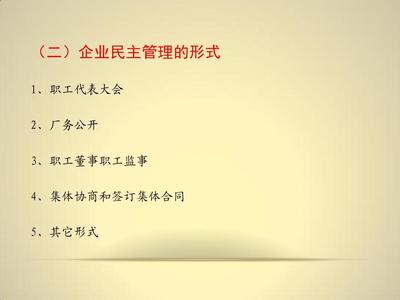 企業民主管理理論與實踐