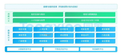 2024熱門中大型企業hr系統 國內ehr廠商推薦