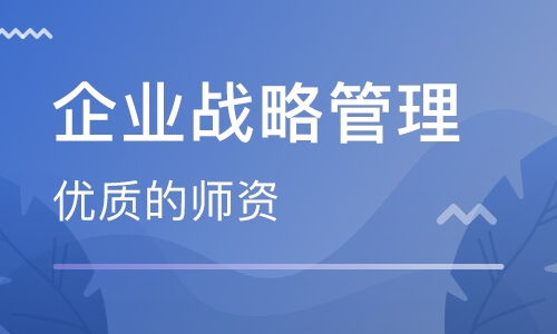 南京企業(yè)戰(zhàn)略管理